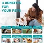 Organic Hemp Oil for Pet Anxiety and Pain Relief