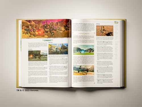 Legend of Zelda: Tears of the Kingdom Official Guide