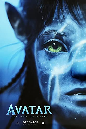 Avatar Way of Water Movie Poster Original 27x40