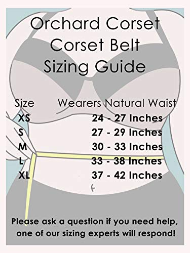 Black Steampunk Corset Belt - Orchard Corset CB-925-XS