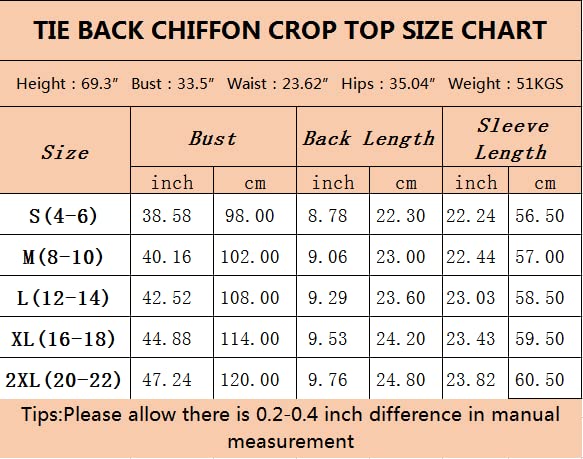 Off-Shoulder Lantern Sleeve Crop Top - Chiffon Blouse