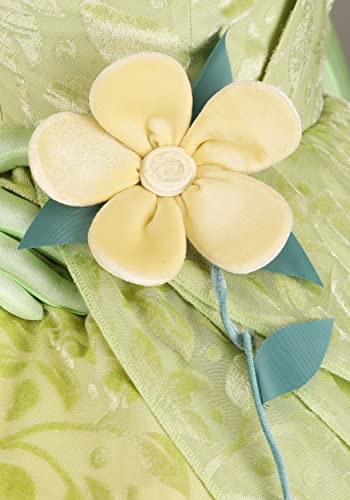 Disney's Princess and the Frog Tiana Costume - Adult
