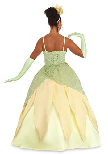 Disney's Princess and the Frog Tiana Costume - Adult