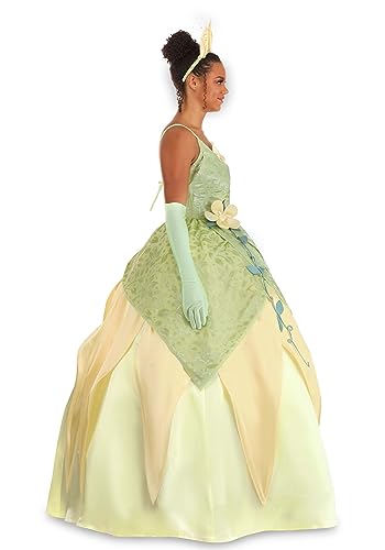 Disney's Princess and the Frog Tiana Costume - Adult