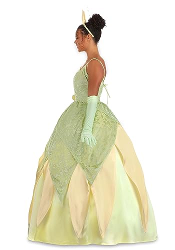 Disney's Princess and the Frog Tiana Costume - Adult