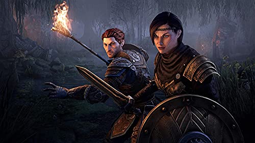Elder Scrolls Online Blackwood Collector's - Xbox Digital