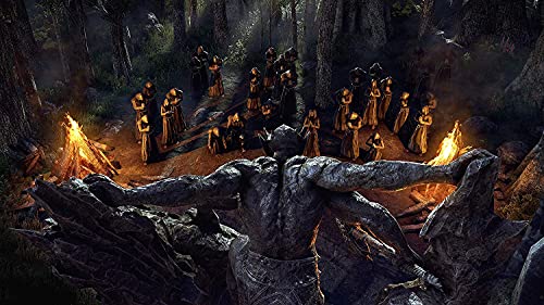 Elder Scrolls Online Blackwood Collector's - Xbox Digital
