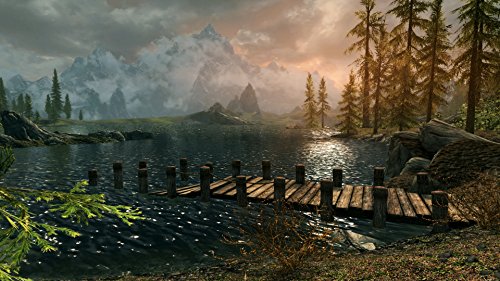 Skyrim for Nintendo Switch: The Elder Scrolls V