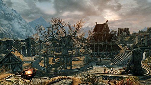 Skyrim for Nintendo Switch: The Elder Scrolls V
