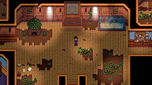 Stardew Valley Collector's Ed - PlayStation 4