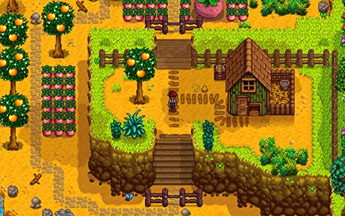 Stardew Valley Collector's Ed - PlayStation 4