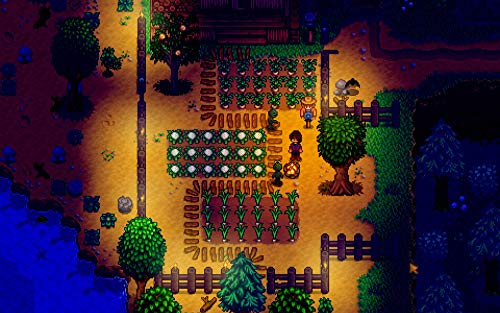 Stardew Valley Collector's Ed - PlayStation 4