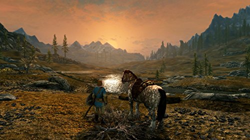 Skyrim for Nintendo Switch: The Elder Scrolls V