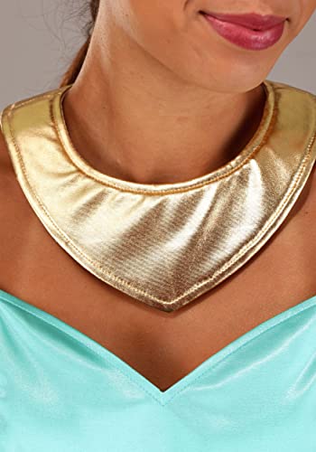 Disney Aladdin Jasmine Plus Size Costume, Women's Fantasy