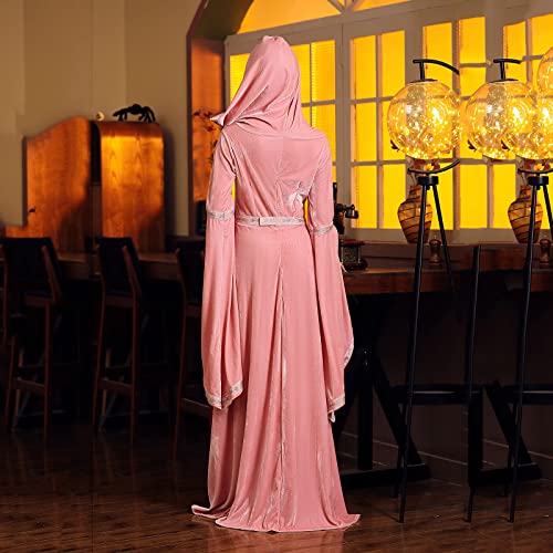 Medieval Velvet Hooded Dress 