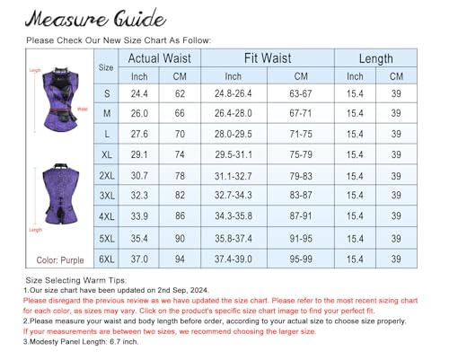 Charmian Steampunk Goth Bustiers Corset Jacket Belt Purple