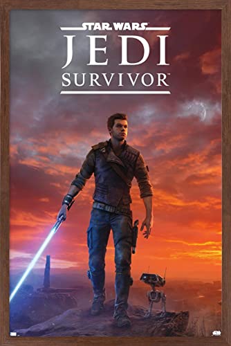 Star Wars Jedi Survivor Wall Poster Fantasy Decor