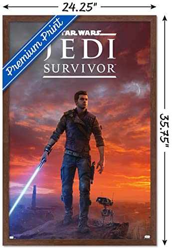 Star Wars Jedi Survivor Wall Poster Fantasy Decor