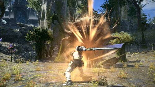 Final Fantasy XIV: A Realm Reborn - PC