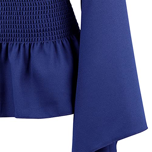 Blue Pirate Renaissance Steampunk Blouse Women’s Shirt 2XL