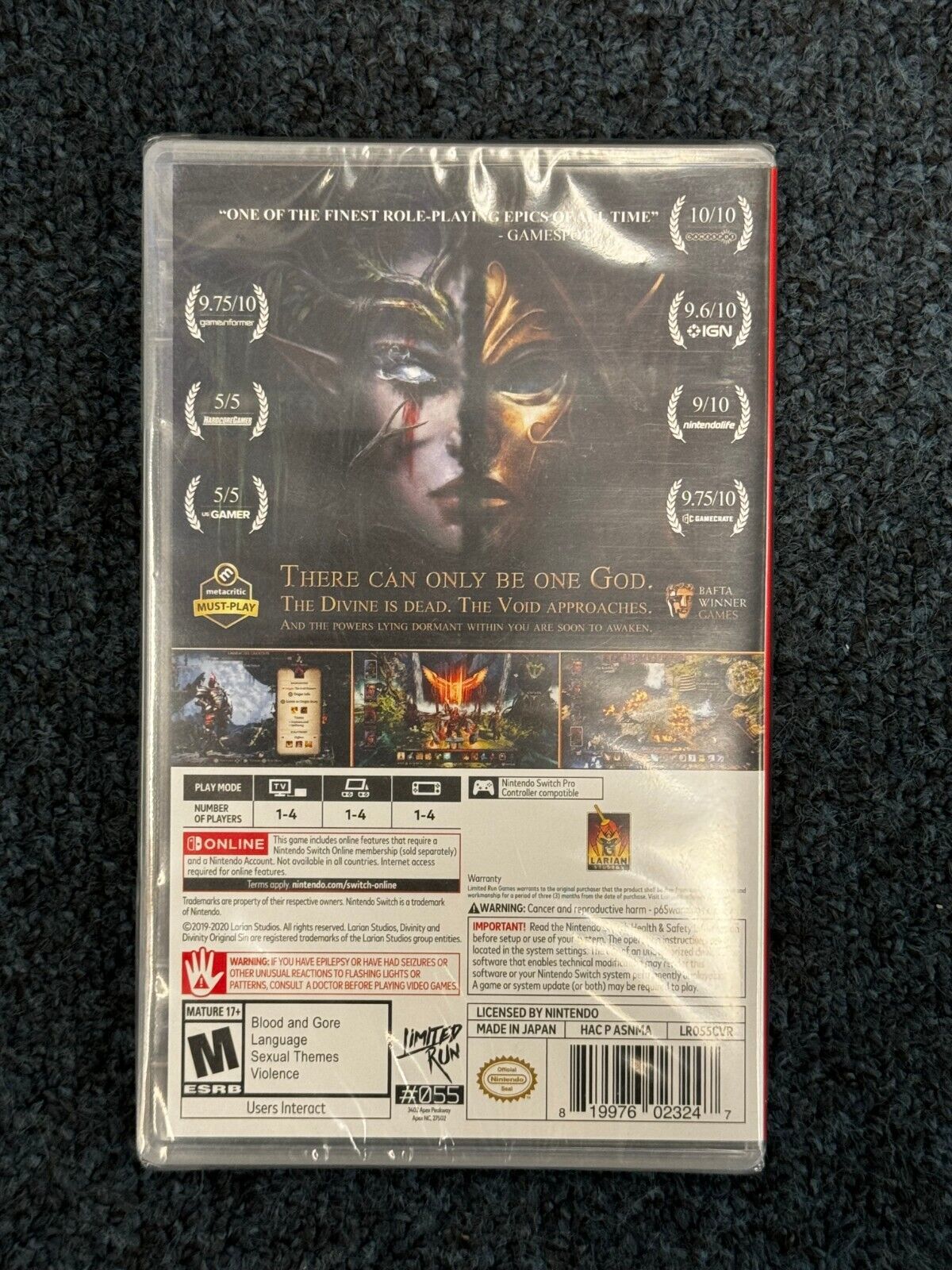 Divinity: Original Sin 2 - Definitive Edition for Switch