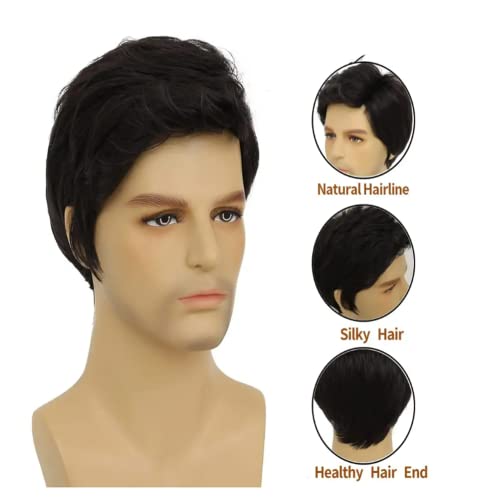 Black Short Synthetic Men's Wig