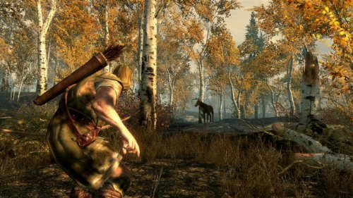 Elder Scrolls V: Skyrim - PC Game