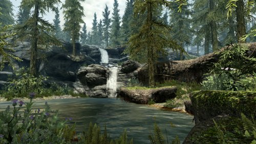 Elder Scrolls V: Skyrim - PC Game