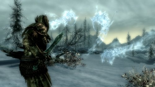 Elder Scrolls V: Skyrim - PC Game