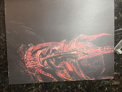 Official Elder Scrolls IV: Oblivion Guide for PC/Xbox