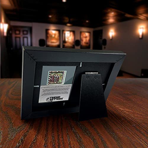 LotR Fellowship of the Ring 20th Anniversary FilmCells