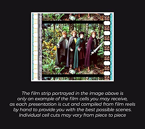 LotR Fellowship of the Ring 20th Anniversary FilmCells