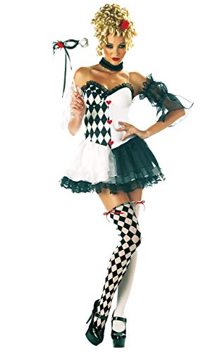Harley Quinn Costume 