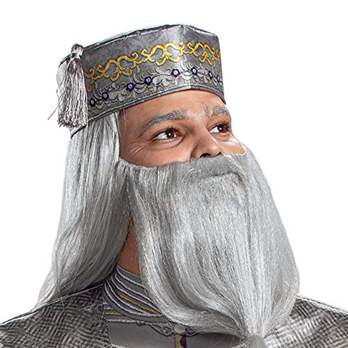 Men's Dumbledore Costume: Harry Potter Robe & Hat