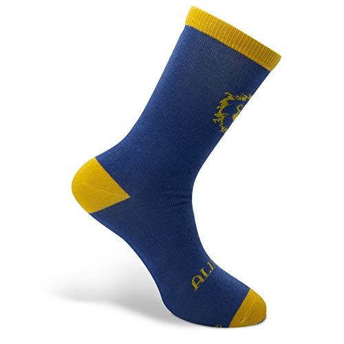 World of Warcraft Alliance Blue & Yellow Socks