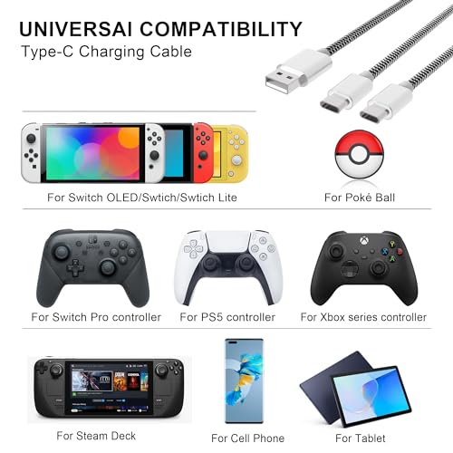 Nylon Braided 10ft USB C Charging Cable