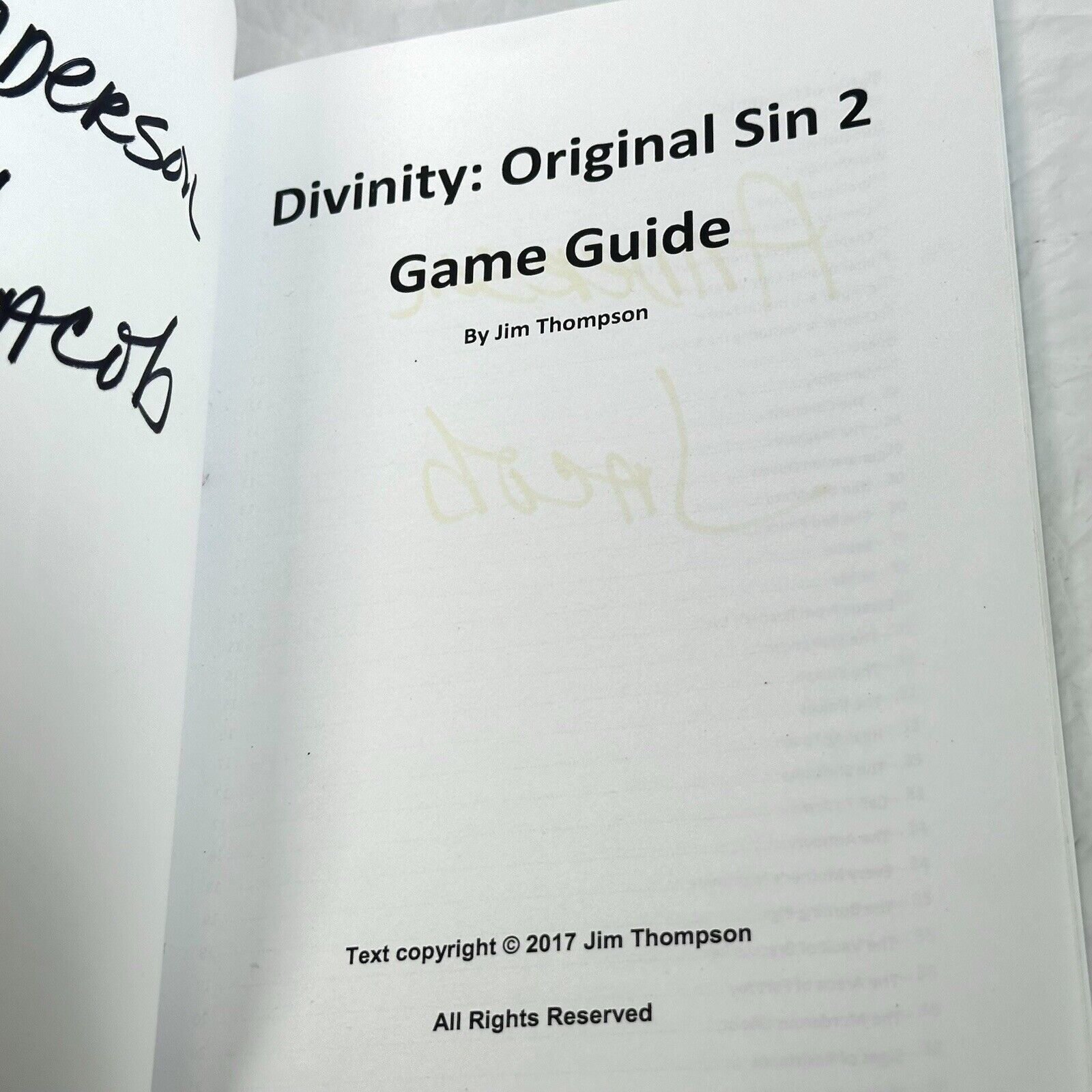 Divinity Original Sin II Strategy Guide Walkthrough Book