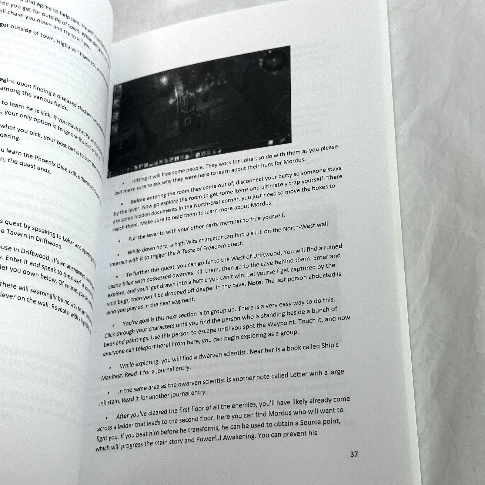 Divinity Original Sin II Strategy Guide Walkthrough Book