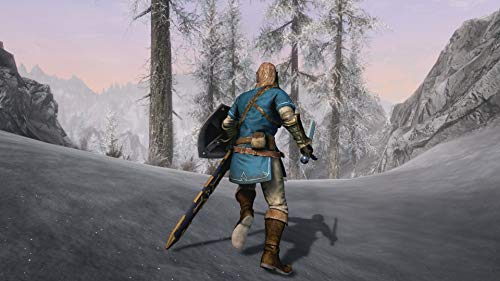 Skyrim: The Elder Scrolls V - Nintendo Switch