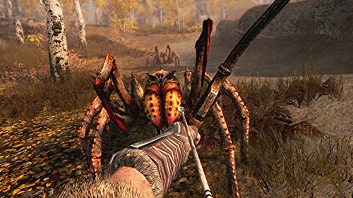 Skyrim: The Elder Scrolls V - Nintendo Switch