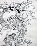 White Dragon Print Men's Top