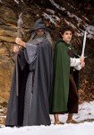 Medieval Frodo Baggins Costume - Dark Green-Large