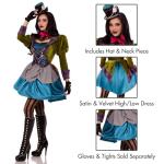 Mad Hatter Set: Velvet Coat, Dress, Mini Hat
