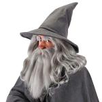 Gandalf Costume Hat for Adults and Teens Gray