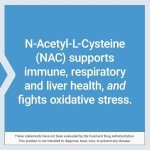 Life Extension NAC 600mg Capsules: Immune & Liver Support