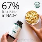 Qualia NAD+ Supplement for Energy and Focus