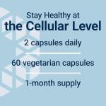 Life Extension GEROPROTECT® Stem Cell Renewal Capsules