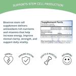 Bioxtron Stem Cell Support Capsules - 60 Count