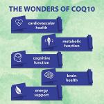 High Absorption CoQ10 600mg with Vitamin E & Omega 3 6 9