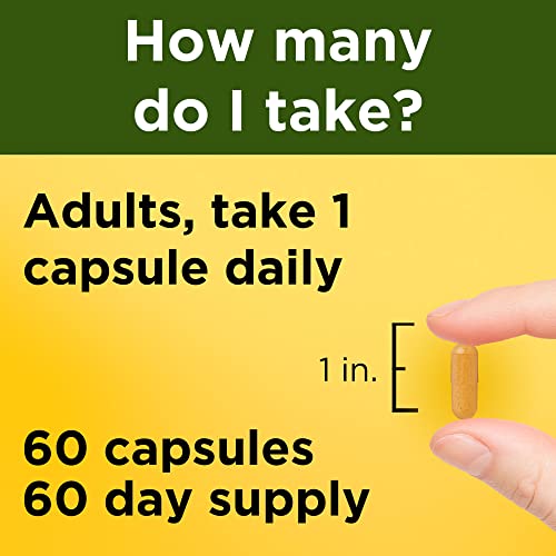 Nature Made Turmeric Curcumin 500mg Antioxidant Support Supplement